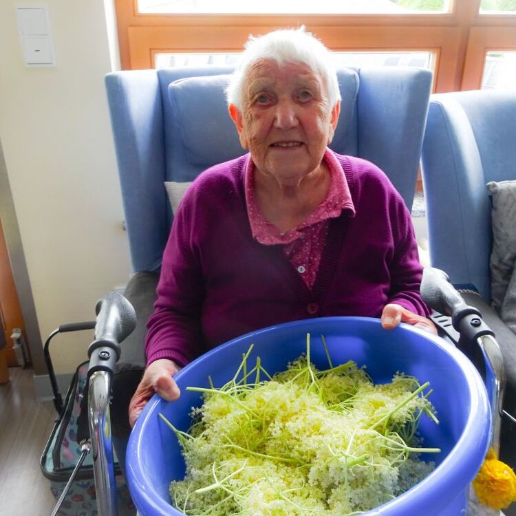 Hollerstaudn (4)N_edited.jpg