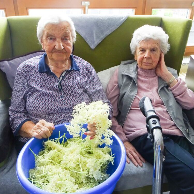 Hollerstaudn (3)N_edited.jpg